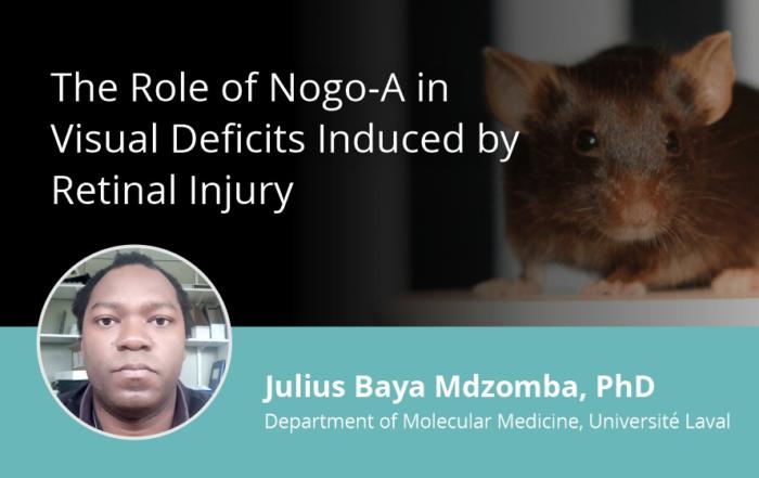 The Role of Nogo-A in Visual Deficits Induced by Retinal Injury