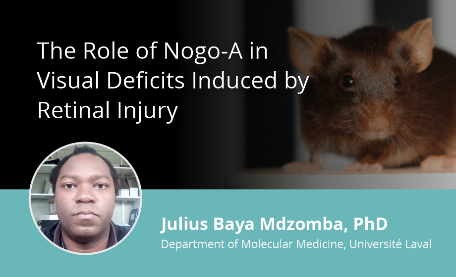 The role of Nogo-A in visual deficits induced by retinal injury