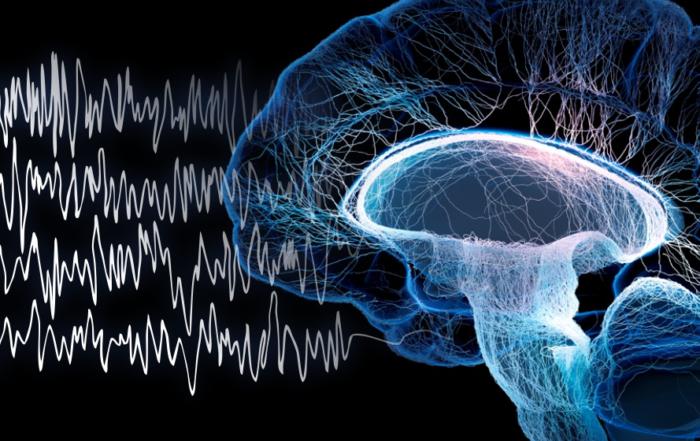 Using EEG to Evaluate the Behavioral Effects of Benzodiazepines in Rhesus Monkeys