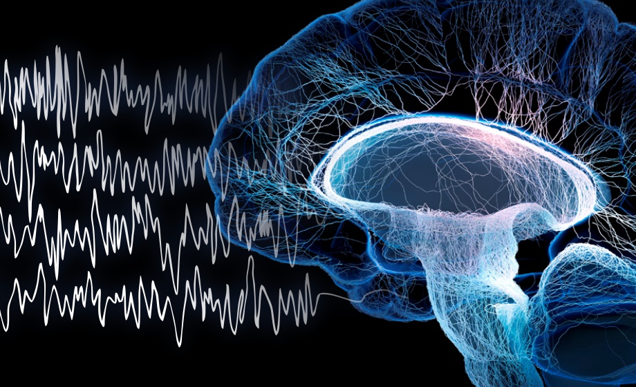 Using EEG to Evaluate the Behavioral Effects of Benzodiazepines in Rhesus Monkeys