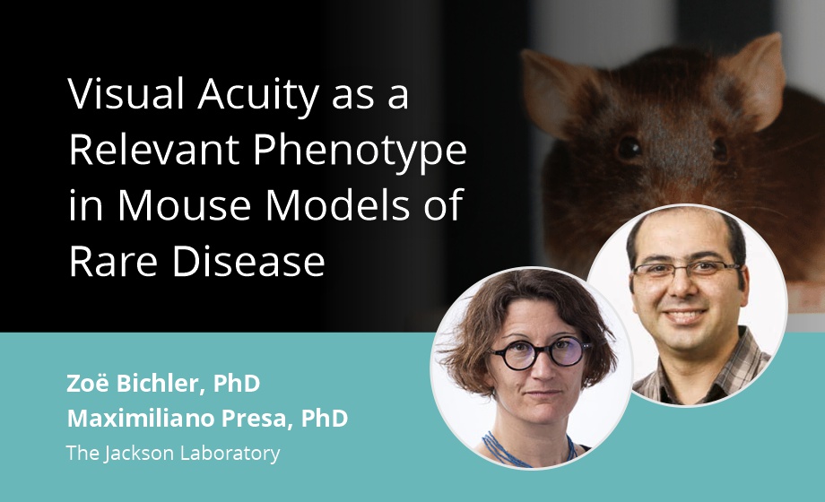 Visual Acuity as a Relevant Phenotype in Mouse Models of Rare Disease