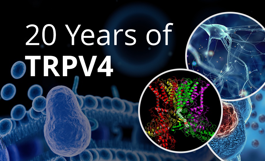 20 Years of TRPV4 - Exploring Science, Discovery, and Future Directions