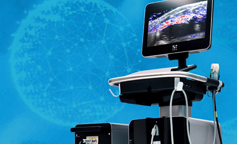 Synchronous tracking of oxygen saturation in vital organs_F1
