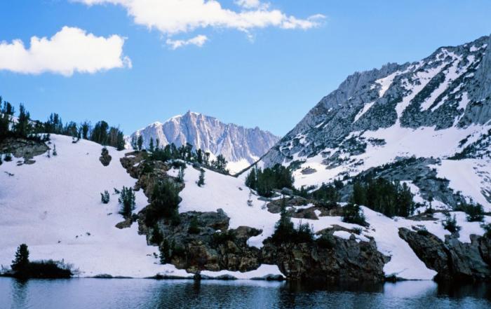 Ecophysiological Impacts of Climate Change: Performance, Fitness and Extinction
