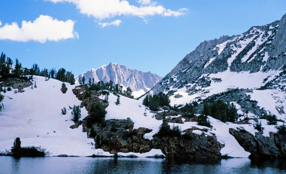 Ecophysiological Impacts of Climate Change: Performance, Fitness and Extinction