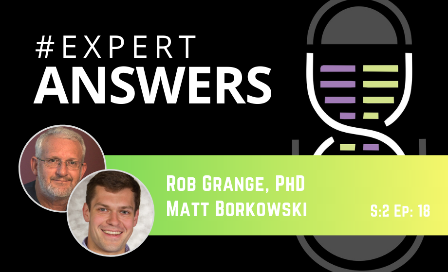 Expert Answers: Rob Grange & Matt Borkowski on Isometric Twitch