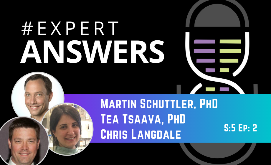 Expert Answers: Téa Tsaava, Chris Langdale, & Martin Schüttler on Nerve Cuff Electrodes