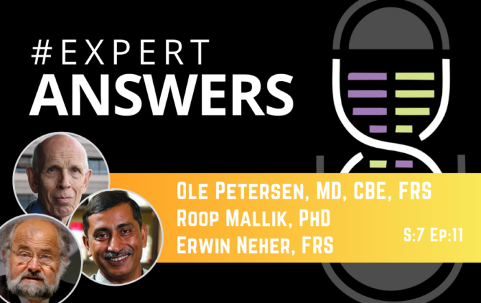 #ExpertAnswers: Ole Petersen, Roop Mallik & Erwin Neher on Endocytosis and Calcium Signaling in the Context of SARS-CoV-2