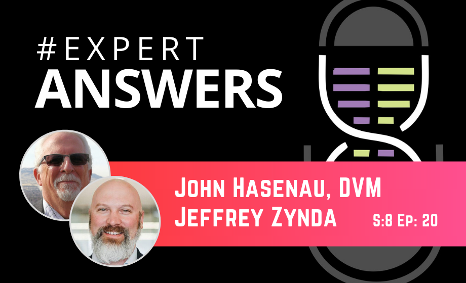 Expert Answers: John Hasenau & Jeffrey Zynda on Animal Model Translation, Welfare and Housing