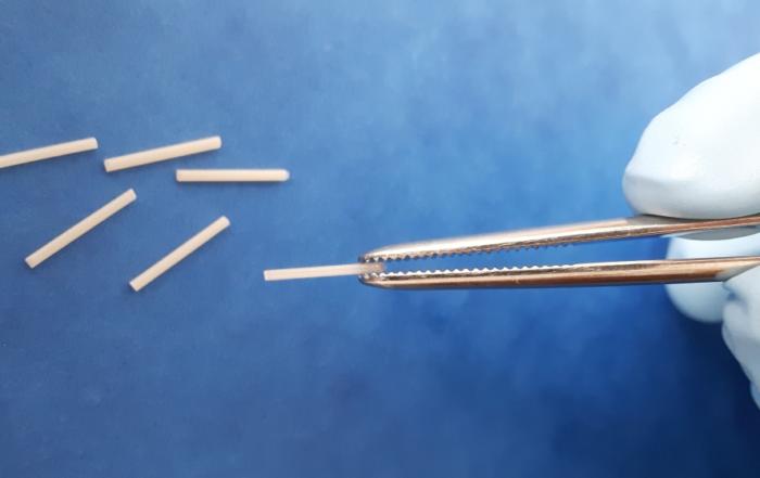 Biodegradable Long-Acting Injectable Implants Prepared By Hot Melt Extrusion