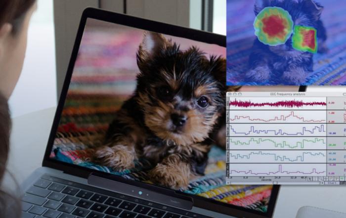 One Tool for Stimulus Presentation, Eye Tracking & Physiology Data