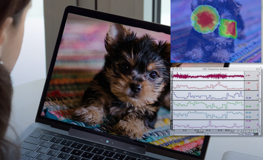 One Tool for Stimulus Presentation, Eye Tracking & Physiology Data