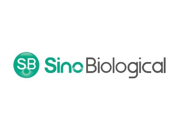 Sino Biological Inc.