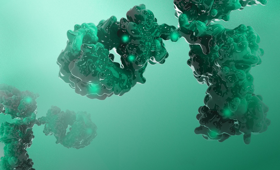 Antibody Discovery Platforms to Support Functional Monoclonal Antibody Generation