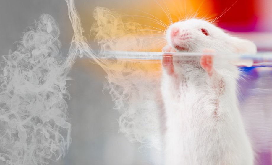 Cardiac Effects of Chronically Inhaled Nicotine