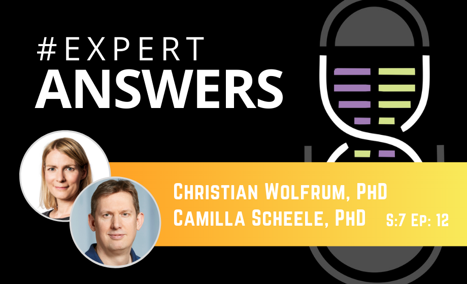 Expert Answers: Camilla Scheele & Christian Wolfrum on Obesity
