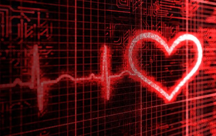 Quantifying Cardiovascular and Behavioral Correlates of Fear in Mice: Implications for PTSD and Cardiovascular Disease Risk