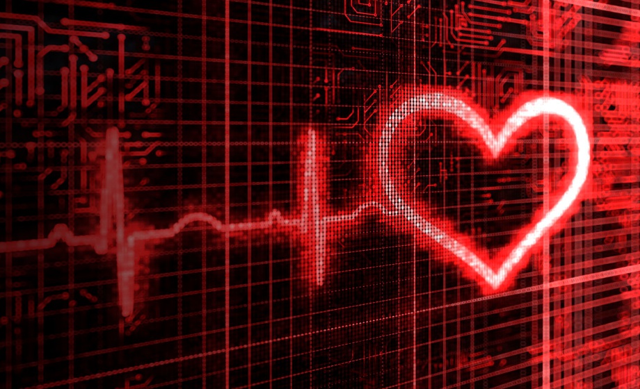 Quantifying Cardiovascular and Behavioral Correlates of Fear in Mice: Implications for PTSD and Cardiovascular Disease Risk