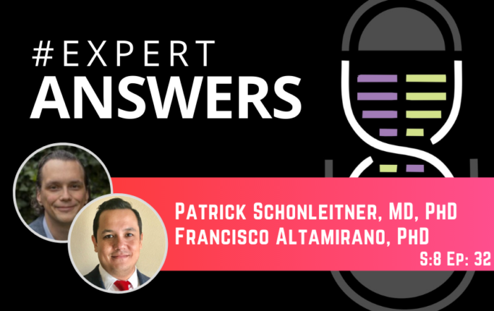 #ExpertAnswers: Patrick Schönleitner and Francisco Altamirano on Excitation Contraction Coupling