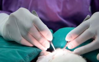 RRSSC-InsideScientific Surgical Workshop Alliance