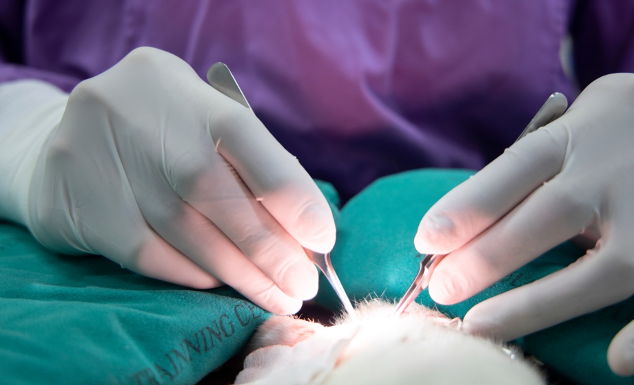 RRSSC-InsideScientific Surgical Workshop Alliance