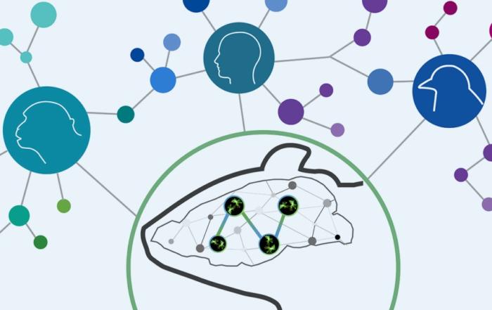 Simultaneous Multi-Region Neuronal Calcium Imaging in Freely Behaving Subjects