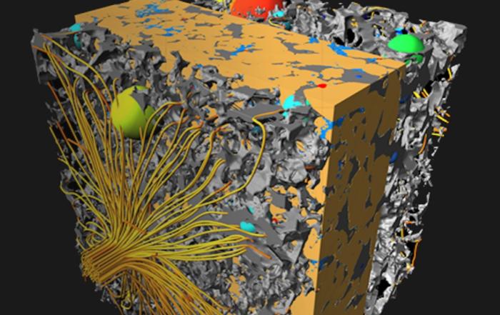 Advanced MicroCT for Non-Destructive 3D Multiscale Analysis