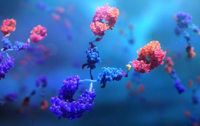 How Transformative Antibody Technology Can Improve Your Bioanalytical Assays