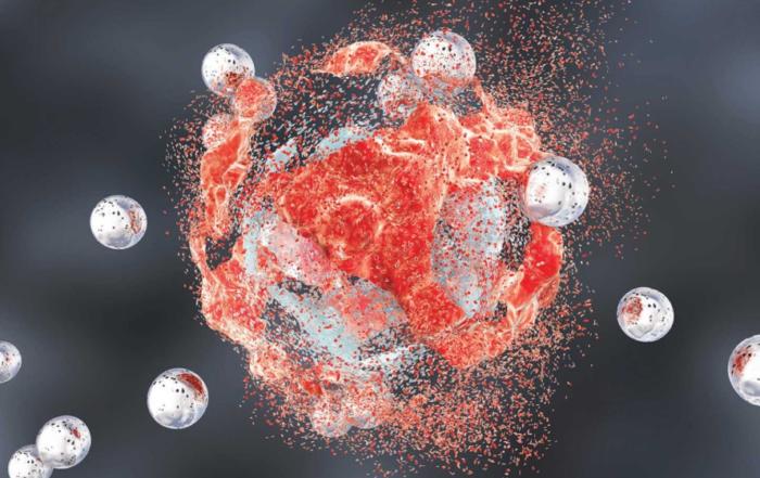Particulate Contamination in Medical Devices and Single-Use Systems