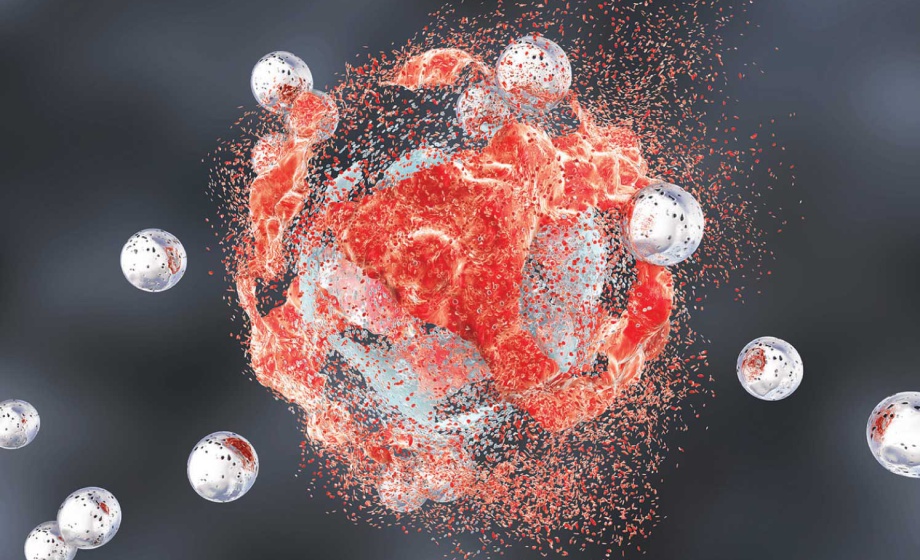 Particulate Contamination in Medical Devices and Single Use Systems