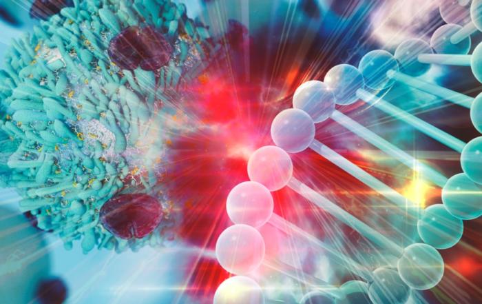 Translational Applications of MiniPDX: An In Vivo Organoid Assay in New Drug R&D