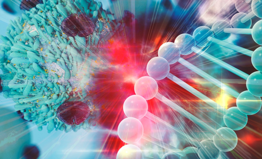 Translational Applications of MiniPDX: An In Vivo Organoid Assay in New Drug R&D