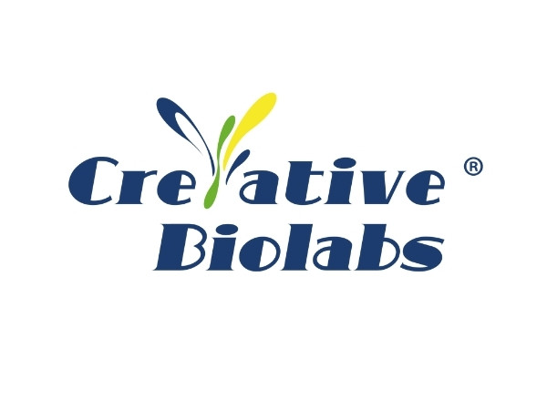 Creative Biolabs