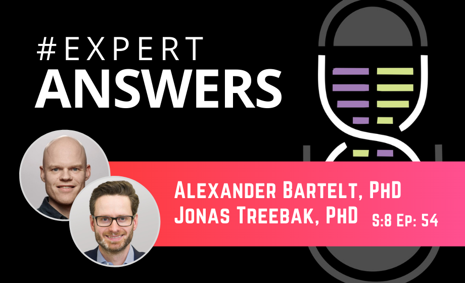 Expert Answers: Jonas Treebak and Alexander Bartelt on Metabolic Adaptations