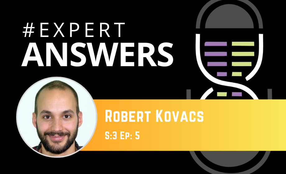 Expert Answers: Róbert Kovács on Social Behavior in Zebrafish