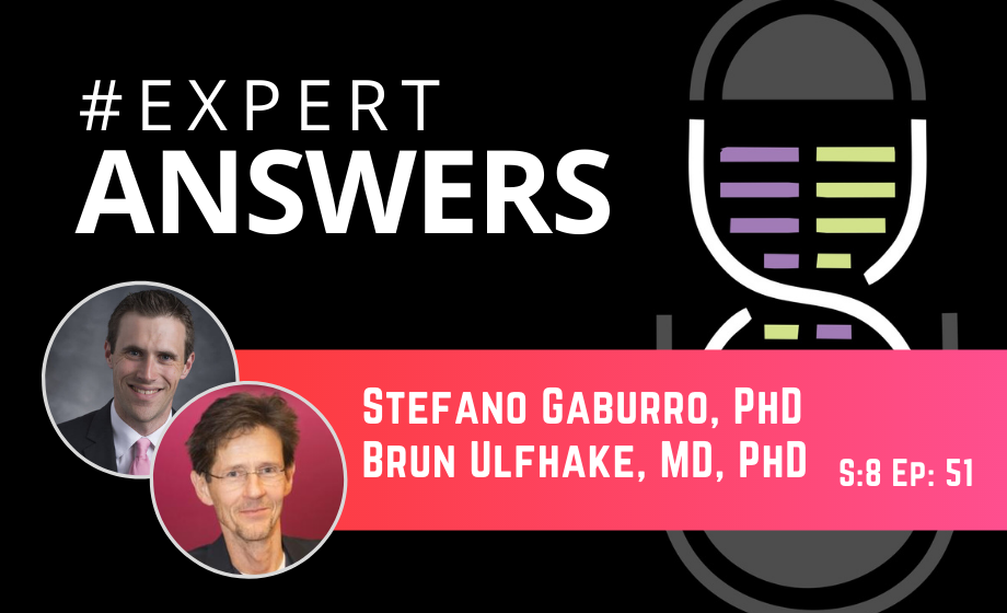 Expert Answers: Stefano Gaburro and Brun Ulfhake on Aging Science
