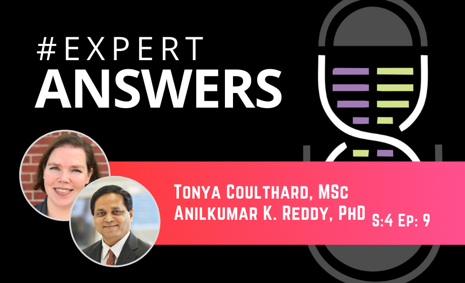 #ExpertAnswers: Tonya Coulthard and Anilkumar Reddy on Blood Flow Velocity