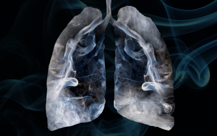 Assessing Toxicity and Health Risks of E-cigarettes: How to Take Aim at a Moving Target