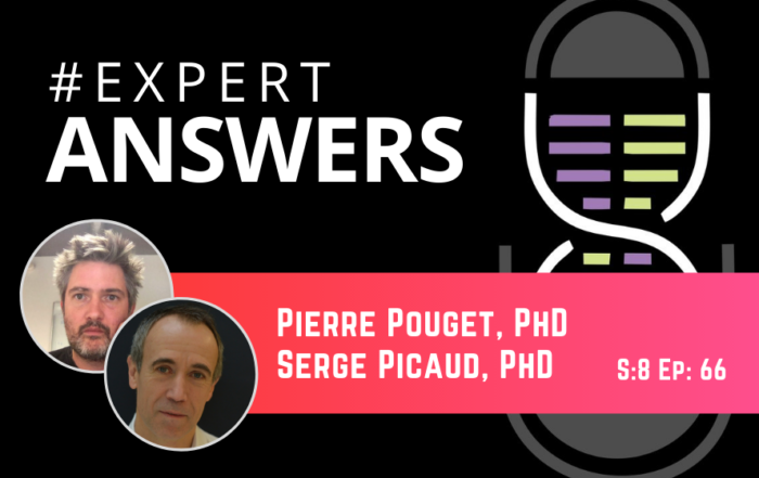 #ExpertAnswers: Pierre Pouget and Serge Picaud on Functional Ultrasound Imaging