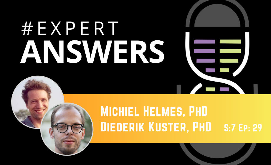 #ExpertAnswers: Michiel Helmes and Diederik Kuster on Excitation-Contraction Coupling