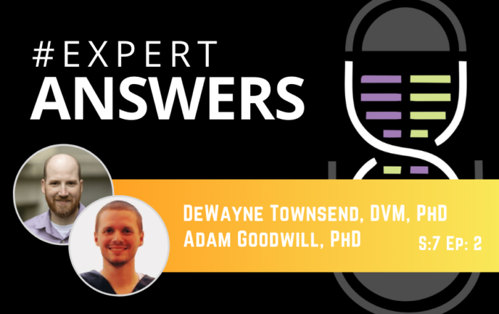 #ExpertAnswers: DeWayne Townsend and Adam Goodwill on the Fundamentals of Pressure-Volume Loop Analysis
