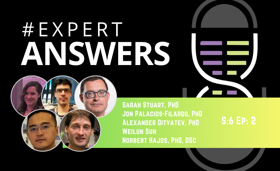 #ExpertAnswers: Sarah Stuart, Jon Pacios-Filardo, Alexander Dityatev, Weilun Sun, and Norbert Hájos on Neurophysiology
