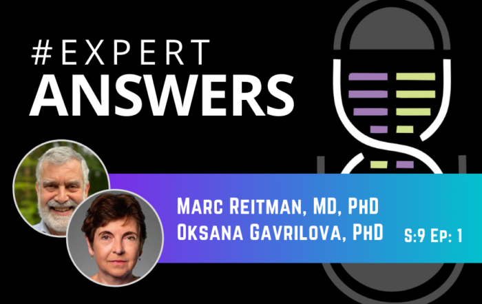 #ExpertAnswers: Marc Reitman and Oksana Gavrilova on Thermal Physiology
