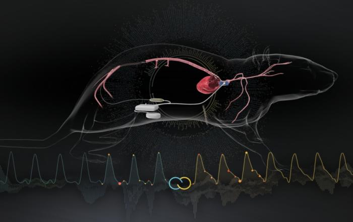 Untether Your Data with EndoGear: Wireless Volumetric Blood Flow and Pressure Measurement