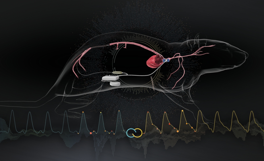 Untether Your Data with EndoGear Biotelemetry