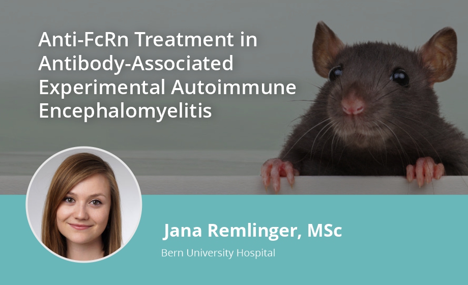 Anti-FcRn Treatment in Antibody-Associated Experimental Autoimmune Encephalomyelitis