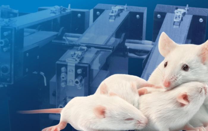 Application of Treadmill Exercise Using Mice as a Model for Studying the Influence of Maternal Exercise on Offspring Metabolic Reprogramming