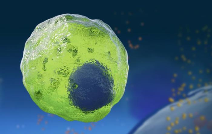 Monitoring Cellular Immune Response in Real Time with Next Generation Immunoassays on the Ella Platform