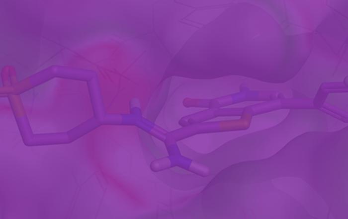 Optimize the Value of Your Research Investment: Outsourcing Molecule Design