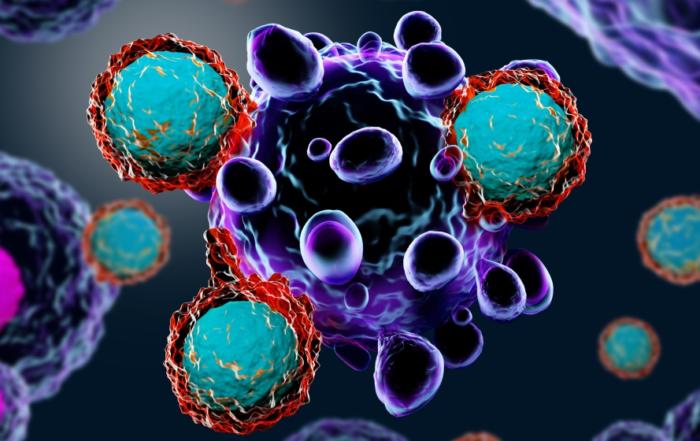 Current and Novel Immuno-Oncology Drug Evaluation Methods via Humanized Mouse Models